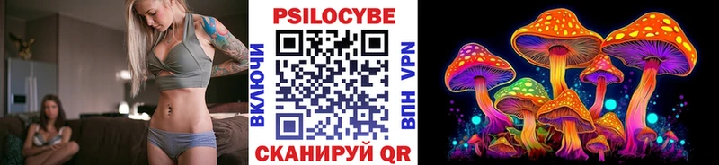 Купить где  Курильск  Галлюциногенные грибы мухоморы 