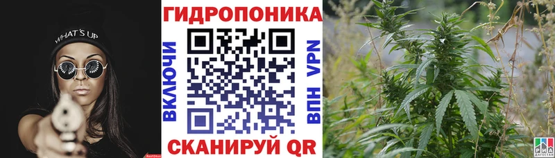Бошки Шишки ГИДРОПОН  Купить  Курильск 
